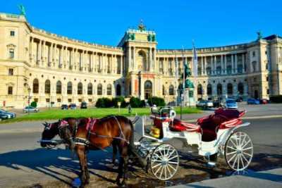 Minipaquete Viena Lunes