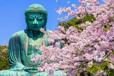Descubriendo Kamakura y Monte Fuji