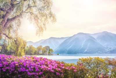 Centro Europa y Escandinavia Completo