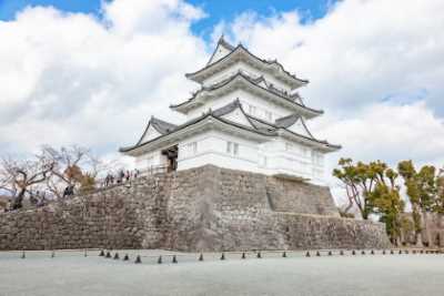 Descubriendo Kamakura y Monte Fuji