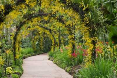 Encantos de Singapur